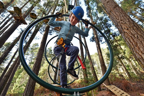 Trees Adventure Yeodene Park - Accommodation NSW 1