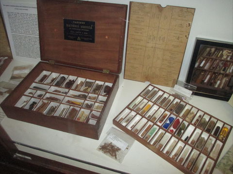 UQ Marks-Hirschfeld Museum Of Medical History - Accommodation NSW 0