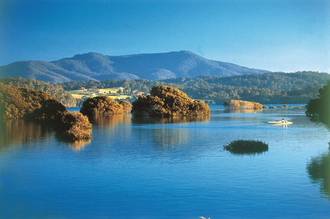 Wagonga Picnic Area - Accommodation NSW 0