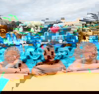 Waterworld Central - Mobile Inflatable Waterpark - Accommodation NSW