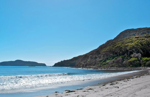 Yacaaba Headland Walking Track - Accommodation NSW 0