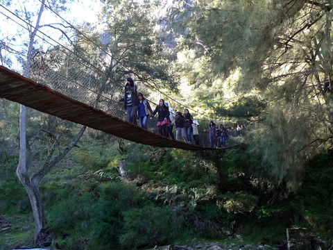 Abercrombie Caves - Accommodation NSW 1