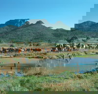 Biggenden - Accommodation NSW