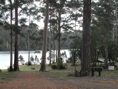 Big Brook Arboretum - Accommodation NSW 0