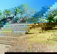 Boab Prison Tree - Accommodation NSW