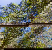 Bribie Island Bicentennial Trails - Accommodation NSW