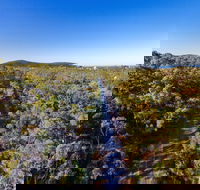 Capricorn Coast Pineapple Rail Trail - Accommodation NSW
