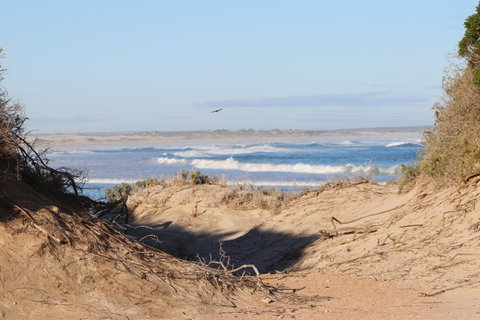 Chadinga Conservation Park - Accommodation NSW 1