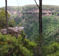 East Rim wildflower walking track