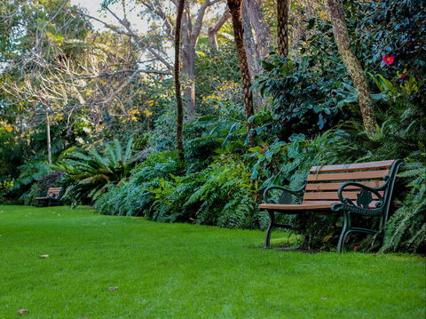 EG Waterhouse National Camellia Gardens - Accommodation NSW 0