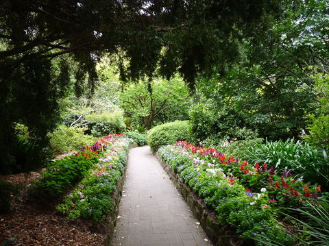 EG Waterhouse National Camellia Gardens - Accommodation NSW 1