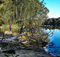 Five Islands Walking Track - Accommodation NSW
