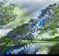 Gold Coast Regional Botanic Gardens - Accommodation NSW
