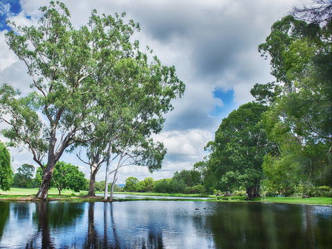Gold Coast Regional Botanic Gardens - Accommodation NSW 0