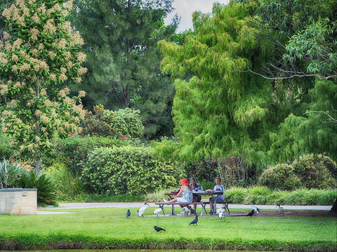 Gold Coast Regional Botanic Gardens - Accommodation NSW 2