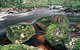 Gordon River - The - thumb 2