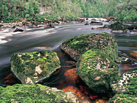 Gordon River - The - Accommodation NSW 2