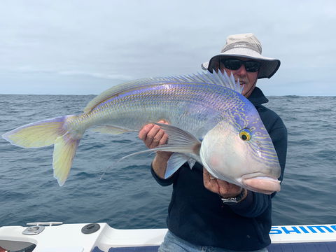 GT Fishing Charters - Accommodation NSW 1