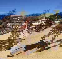 Gundersen Reserve - Accommodation NSW