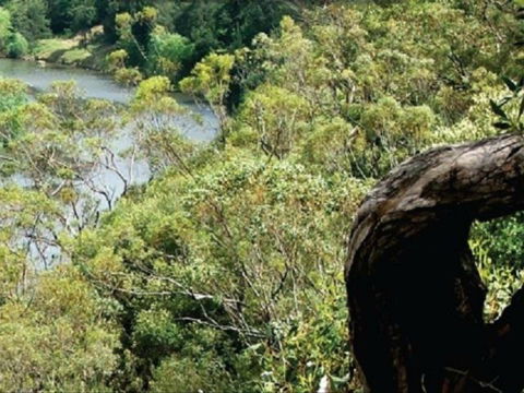 Heuston Lookout - Accommodation NSW 0