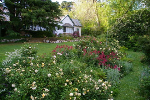 Heysen - The Cedars - Accommodation NSW 0