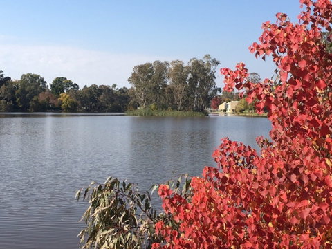 Lake Benalla - Accommodation NSW 1
