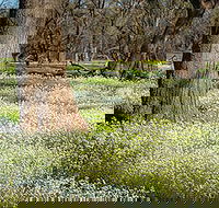 Leaghur State Park - Accommodation NSW
