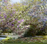 Leis Park - Accommodation NSW