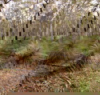 Livingstone National Park - Accommodation NSW