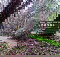 Mount Worth State Park - Accommodation NSW