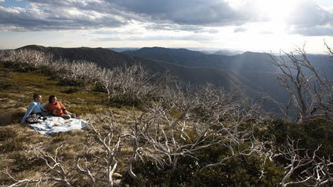 Mount Hotham - Accommodation NSW 2