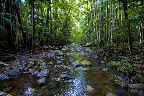 Nambucca Valley - Accommodation NSW 0
