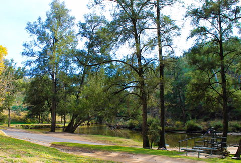 Ophir Reserve - Accommodation NSW 1