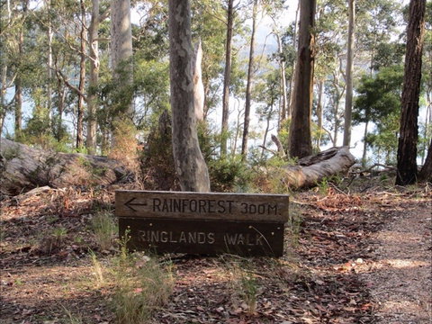 Ringlands Rotary Walk Narooma - Accommodation NSW 0