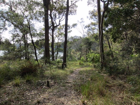Ringlands Rotary Walk Narooma - Accommodation NSW 2