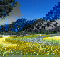 Shearer's Way - Accommodation NSW