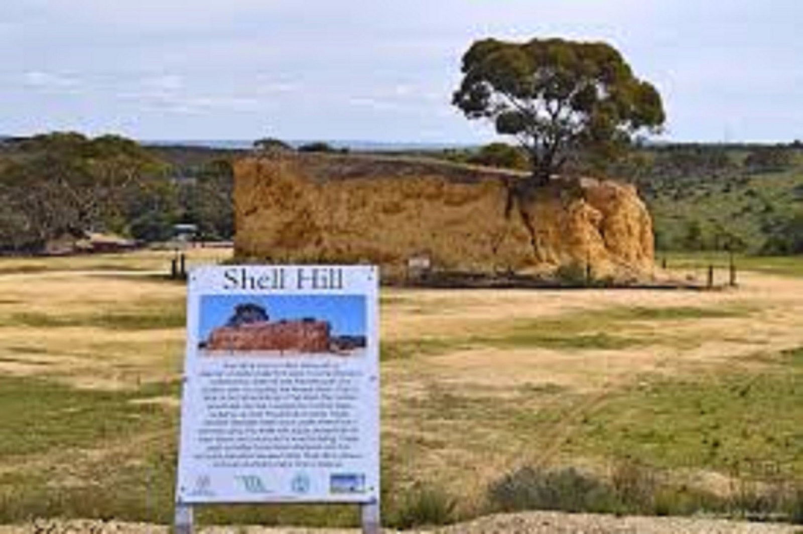 Wongulla SA Accommodation NSW