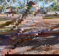 SS Colac - Accommodation NSW