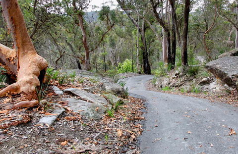 Stepping Stone Crossing To Cascades Trail - Accommodation NSW 0