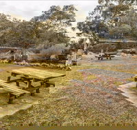 Thredbo River picnic area - Accommodation NSW