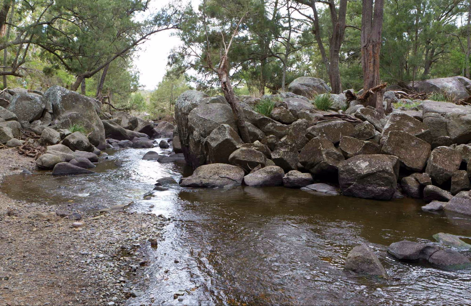 Saumarez NSW Accommodation NSW
