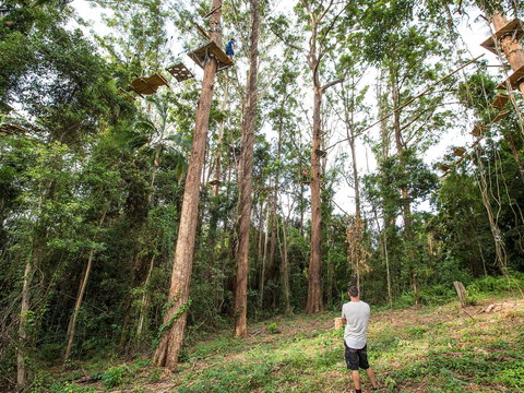 TreeTop Challenge - Sunshine Coast - Accommodation NSW 1