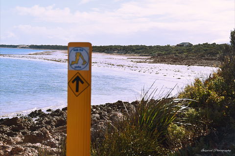 Walk The Yorke Trail - Accommodation NSW 2