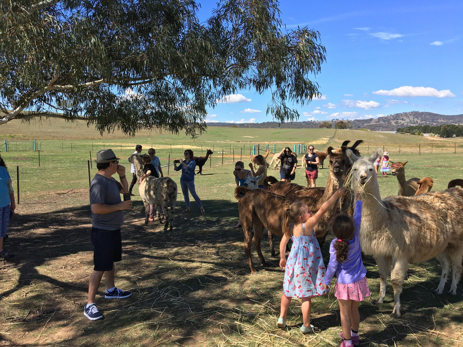 Urila NSW Accommodation NSW