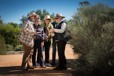 Australian Arid Lands Botanic Garden - Accommodation NSW 2