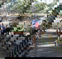Bidgee Riverside Trail  - Hay Nature Walk - Accommodation NSW