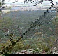 Burrabadine Walking Track - Accommodation NSW