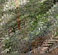 Caleys Lookout Track - Accommodation NSW