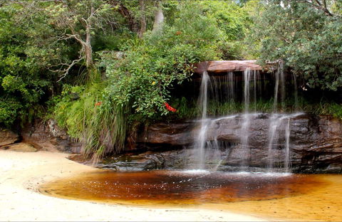 Collins Flat Beach - Accommodation NSW 0