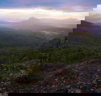 Cunninghams Gap and Spicers Gap Main Range National Park - Accommodation NSW